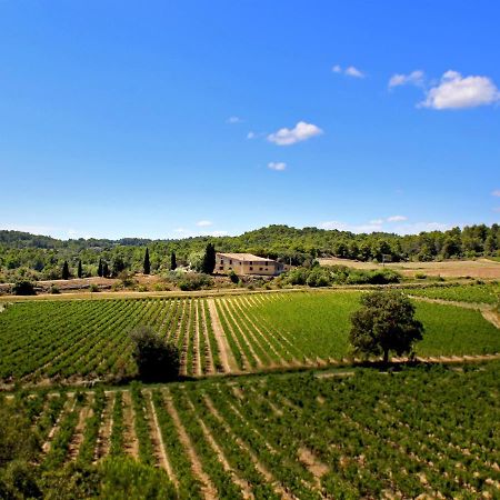 Domaine De Palats Guest House Laure-Minervois ภายนอก รูปภาพ