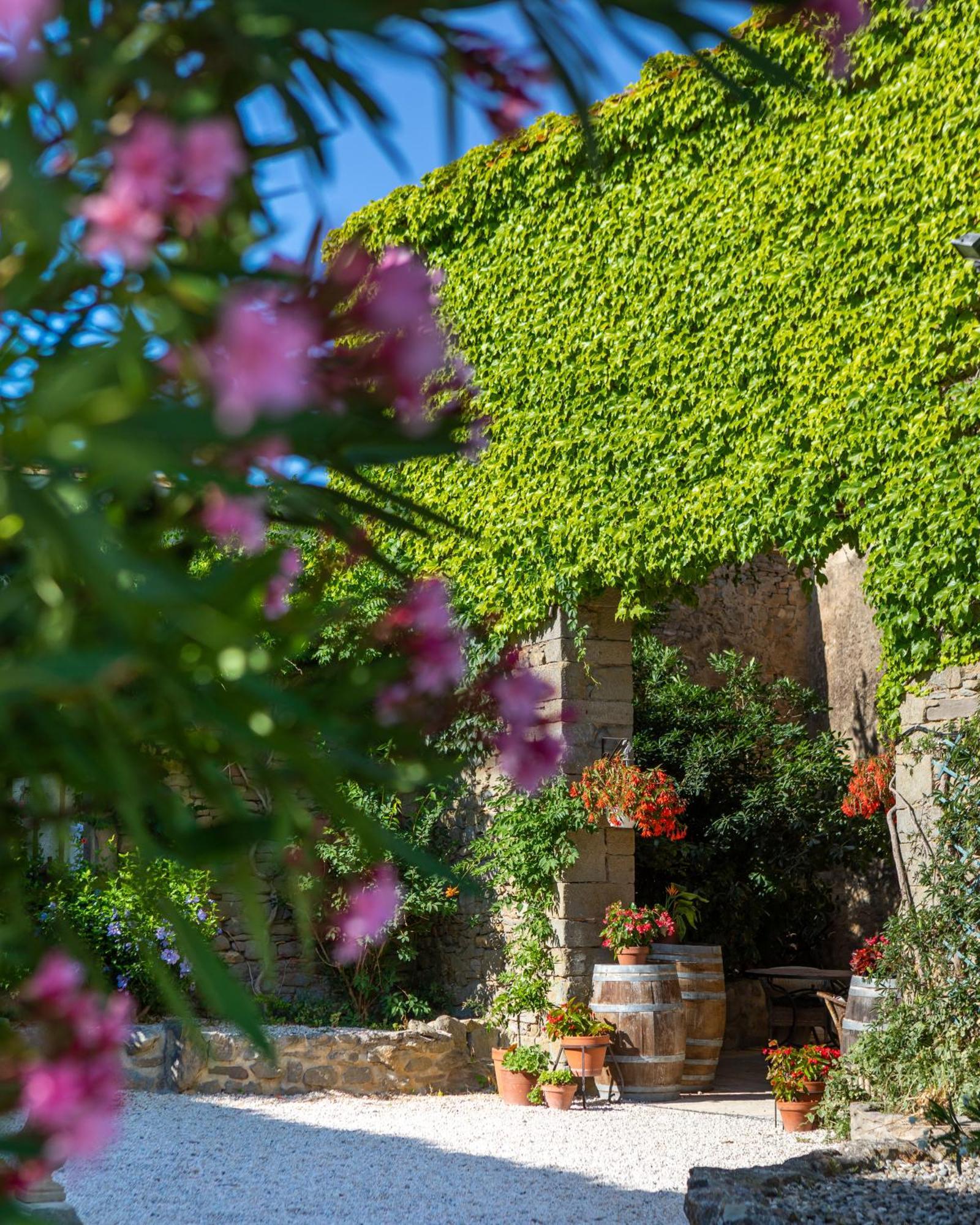 Domaine De Palats Guest House Laure-Minervois ภายนอก รูปภาพ