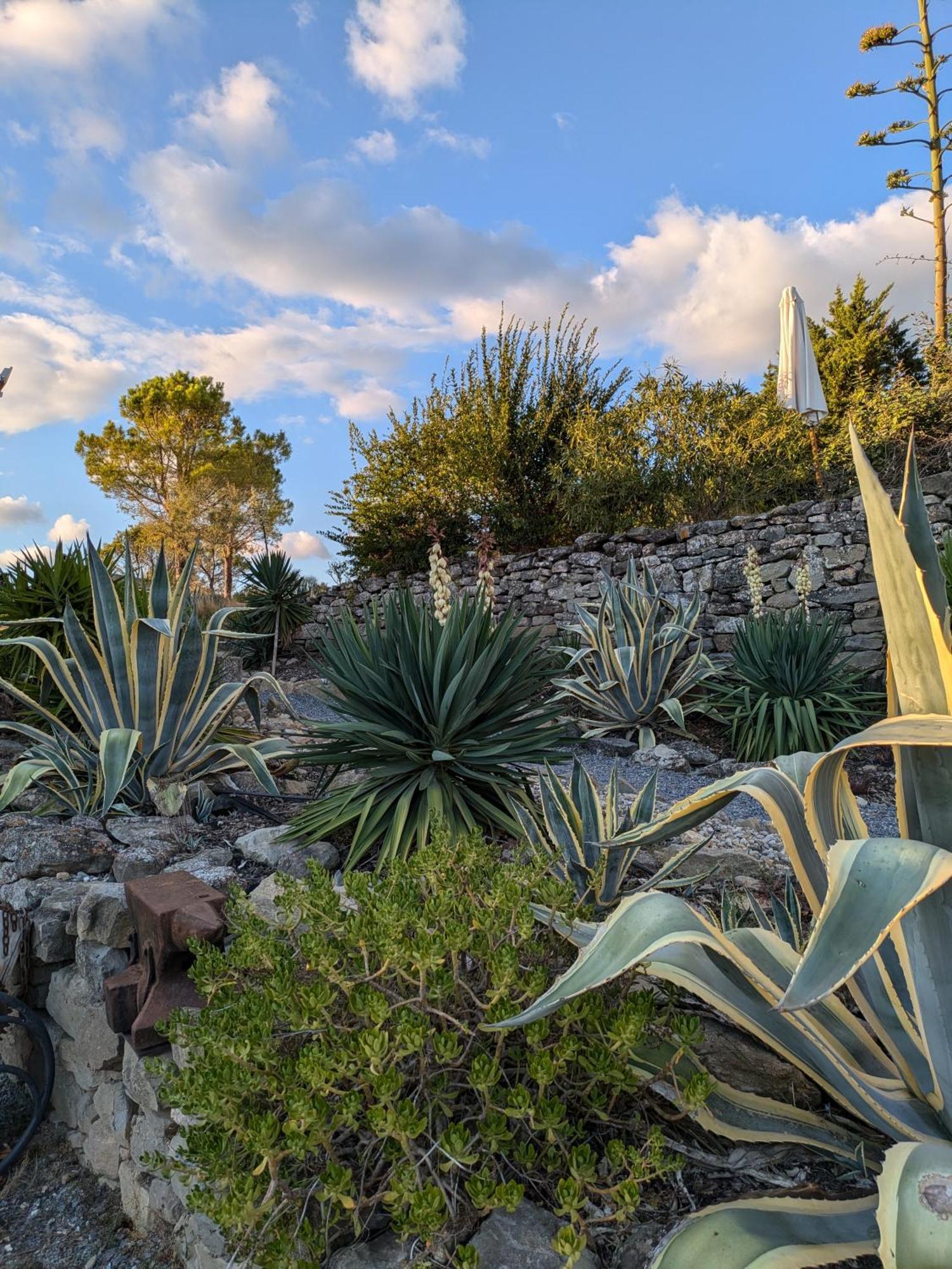 Domaine De Palats Guest House Laure-Minervois ภายนอก รูปภาพ