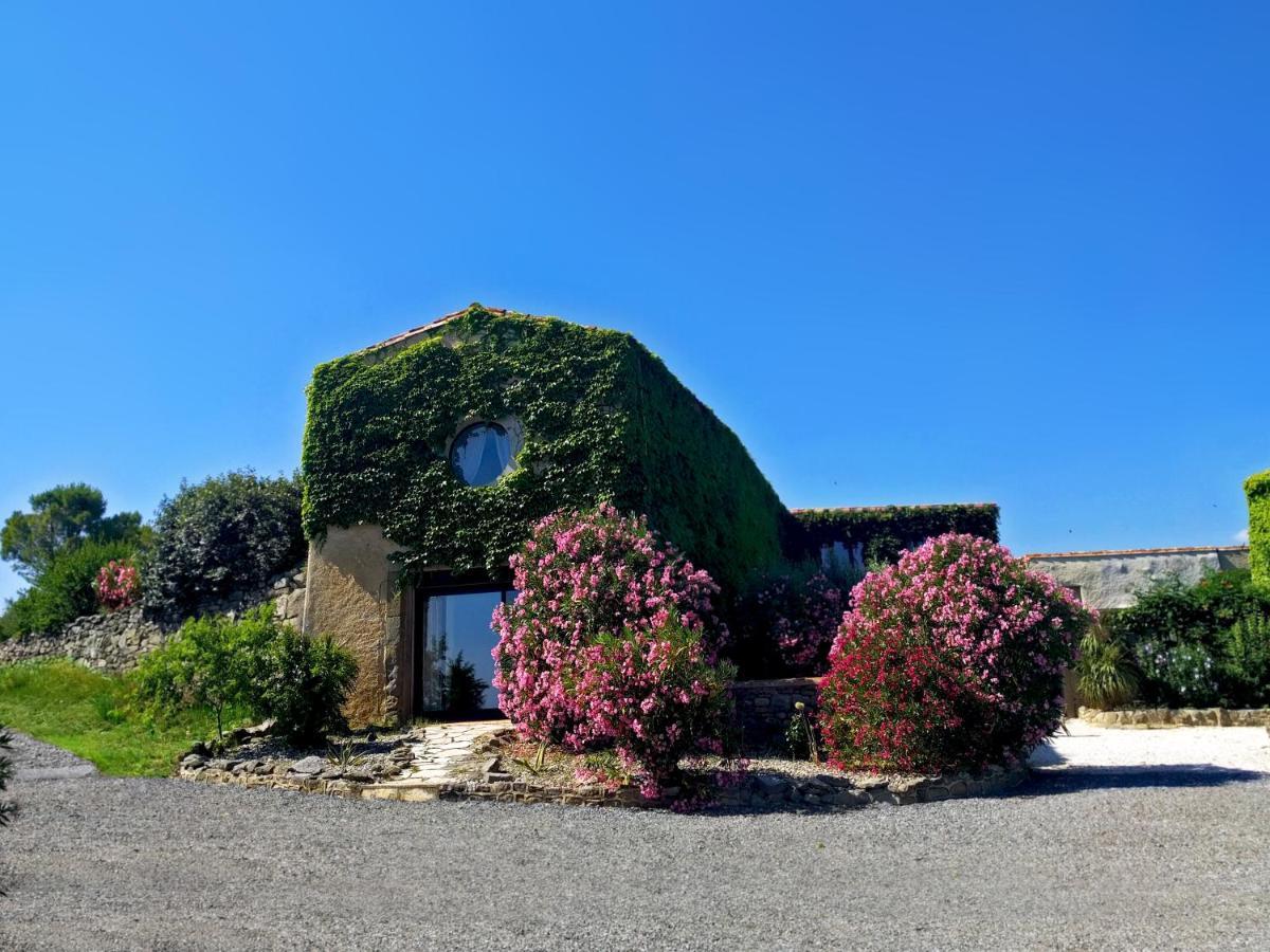 Domaine De Palats Guest House Laure-Minervois ภายนอก รูปภาพ