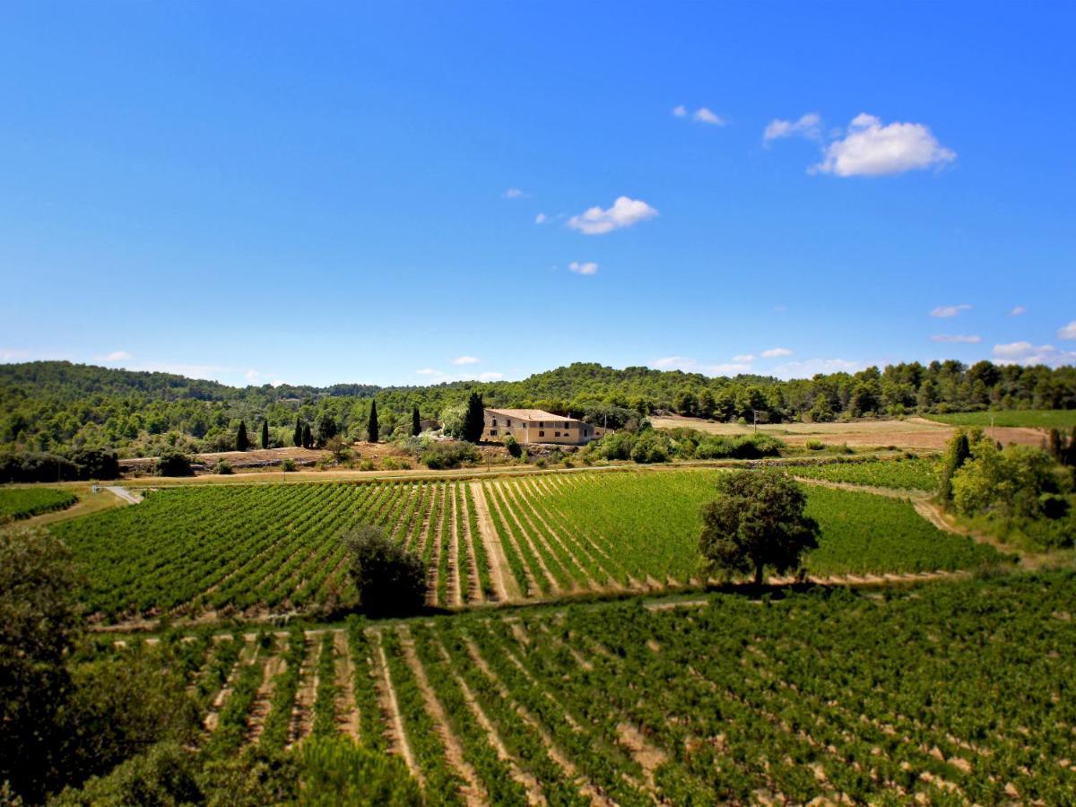 Domaine De Palats Guest House Laure-Minervois ภายนอก รูปภาพ